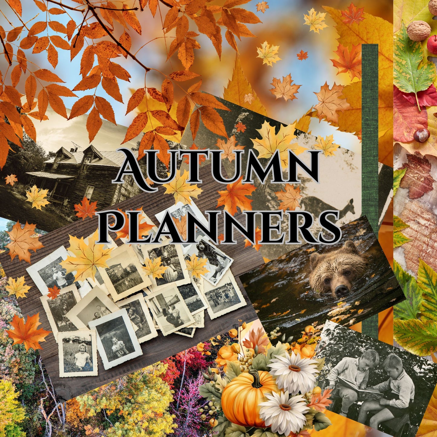 Mystery Themed Planners