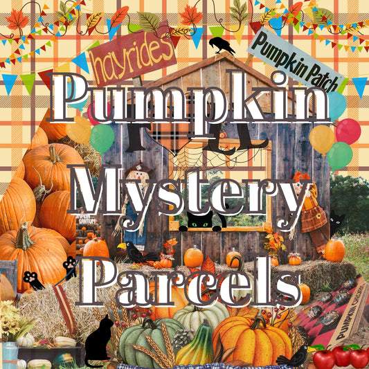 Mystery Themed Parcels -Pumpkins