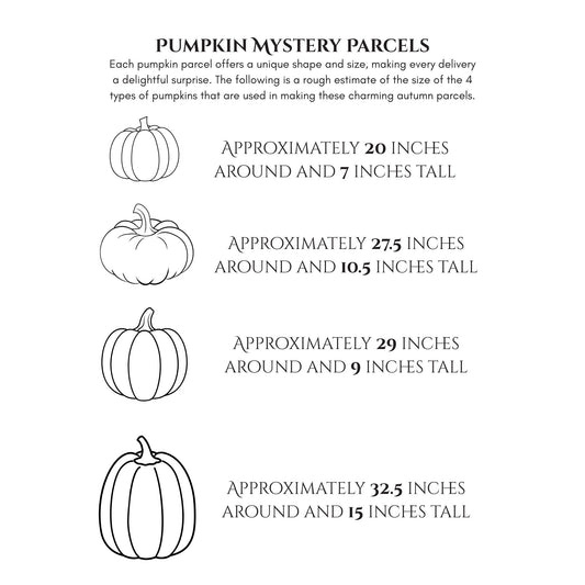 Mystery Themed Parcels -Pumpkins