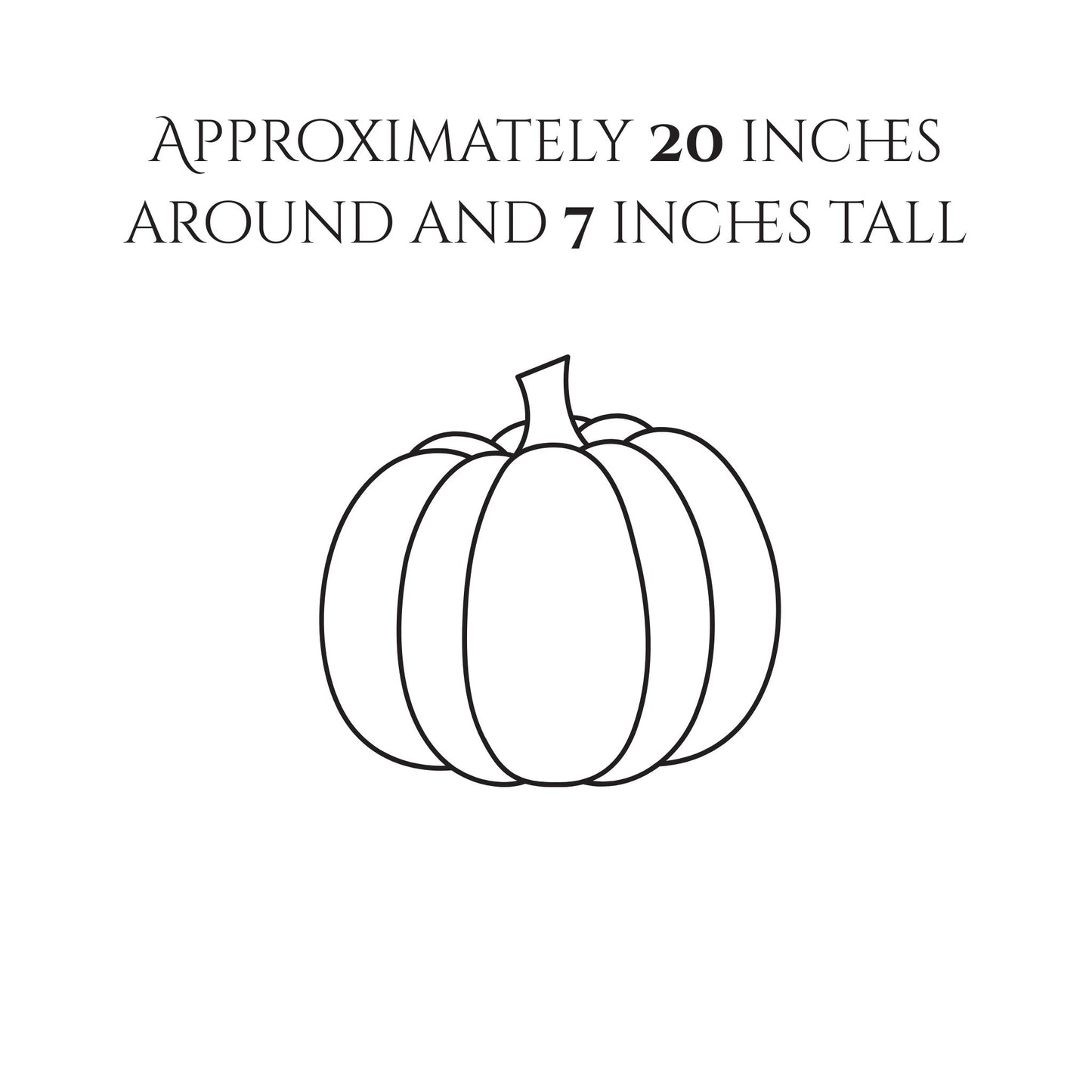 Mystery Themed Parcels -Pumpkins